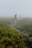 Photo of Blackstairs Mountain
