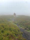 Photo of Blackstairs Mountain
