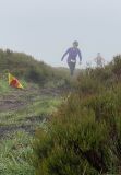 Photo of Blackstairs Mountain