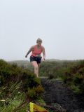 Photo of Blackstairs Mountain