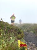 Photo of Blackstairs Mountain