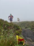 Photo of Blackstairs Mountain