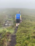 Photo of Blackstairs Mountain