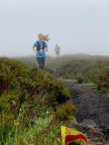 Photo of Blackstairs Mountain
