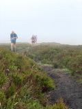 Photo of Blackstairs Mountain