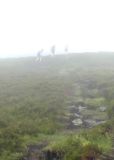 Photo of Blackstairs Mountain