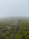 Photo of Blackstairs Mountain