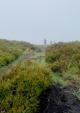 Photo of Blackstairs Mountain