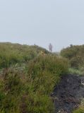 Photo of Blackstairs Mountain