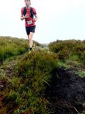 Photo of Blackstairs Mountain