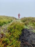 Photo of Blackstairs Mountain