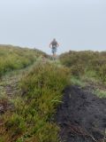 Photo of Blackstairs Mountain