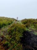 Photo of Blackstairs Mountain