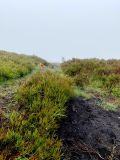 Photo of Blackstairs Mountain