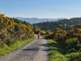 Photo of Carrickgollogan