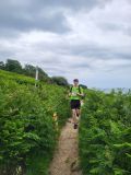 Photo of Howth Summer