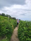 Photo of Howth Summer