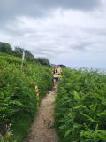 Photo of Howth Summer