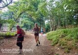 Photo of Glen of the Downs