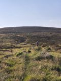 Photo of Trooperstown Hill
