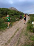 Photo of Bray Head