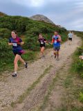 Photo of Bray Head