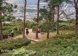Photo of Bray Head