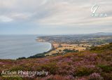 Photo of Bray Head