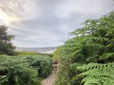 Photo of Bray Head