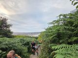 Photo of Bray Head