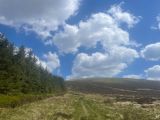 Photo of Log na Coille (via Ballineddan)