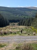 Photo of Log na Coille (via Ballineddan)