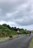 Photo of Mweelrea