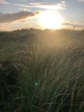 Photo of Mweelrea