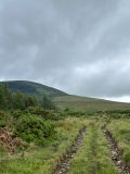 Photo of Mount Leinster