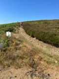 Photo of Trooperstown and Clara Vale Loop