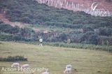 Photo of Mountain Rescue Benefit Race