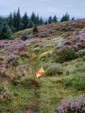 Photo of Mountain Meitheal Fundraiser