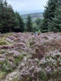 Photo of Mountain Meitheal Fundraiser