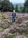 Photo of Mountain Meitheal Fundraiser