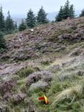 Photo of Mountain Meitheal Fundraiser