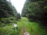 Photo of Mountain Meitheal Fundraiser