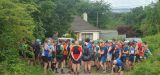 Photo of Cooley Half