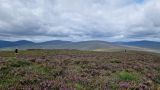 Photo of Lugalla (Leinster Championship route)