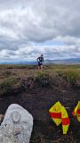 Photo of Lugalla (Leinster Championship route)