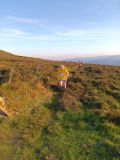 Photo of Scarr