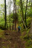 Photo of Sligo Women's Trail Series 3: Union Wood