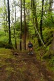 Photo of Sligo Women's Trail Series 3: Union Wood