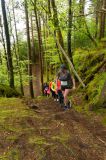 Photo of Sligo Women's Trail Series 3: Union Wood