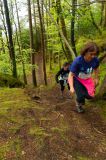 Photo of Sligo Women's Trail Series 3: Union Wood